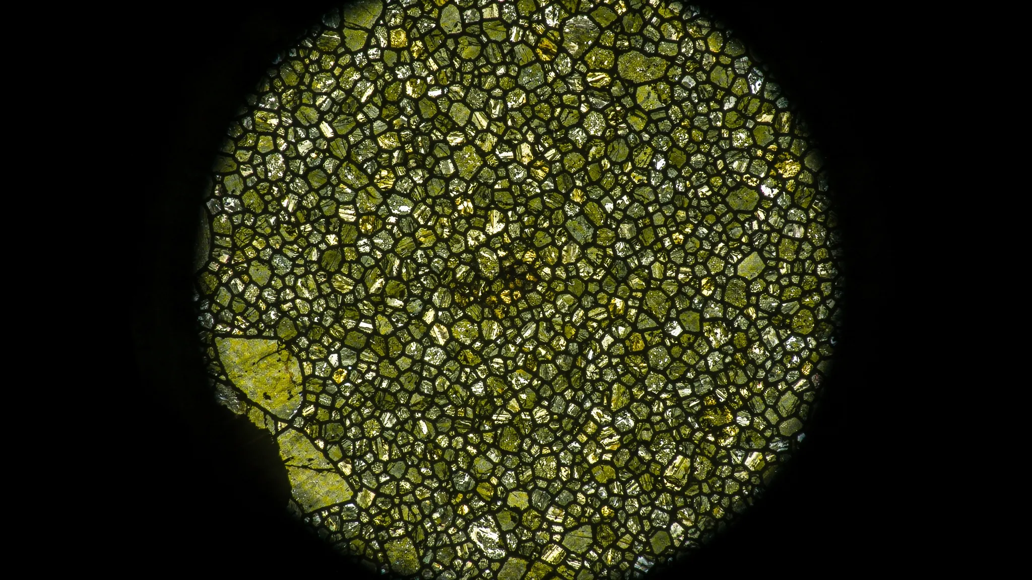 Microscope view of a polished mineral section made of many small interlocking crystal grains with thin boundaries, lit in dark olive green.