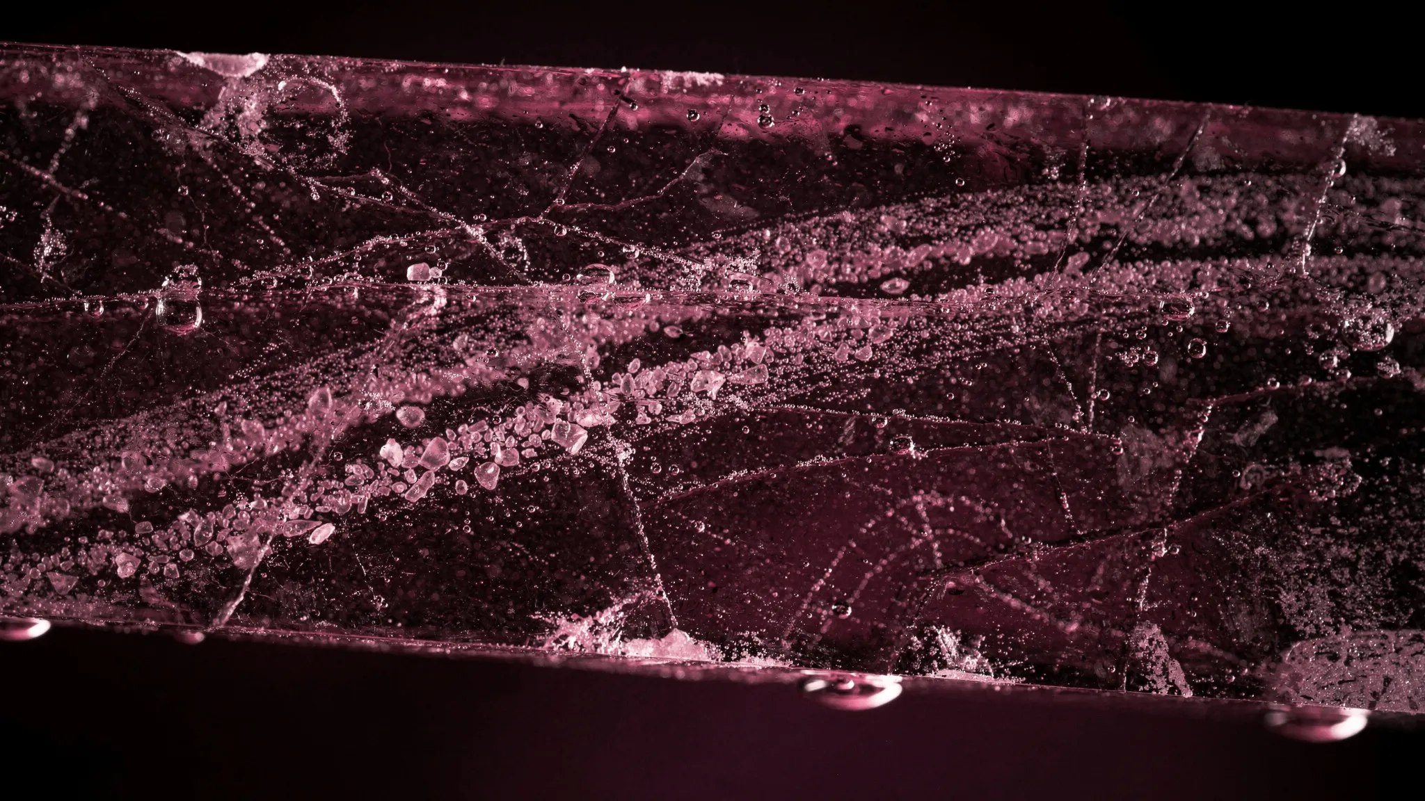 Macro photograph of a slab of ice backlit in magenta, with small gel grains and fine cracks inside.