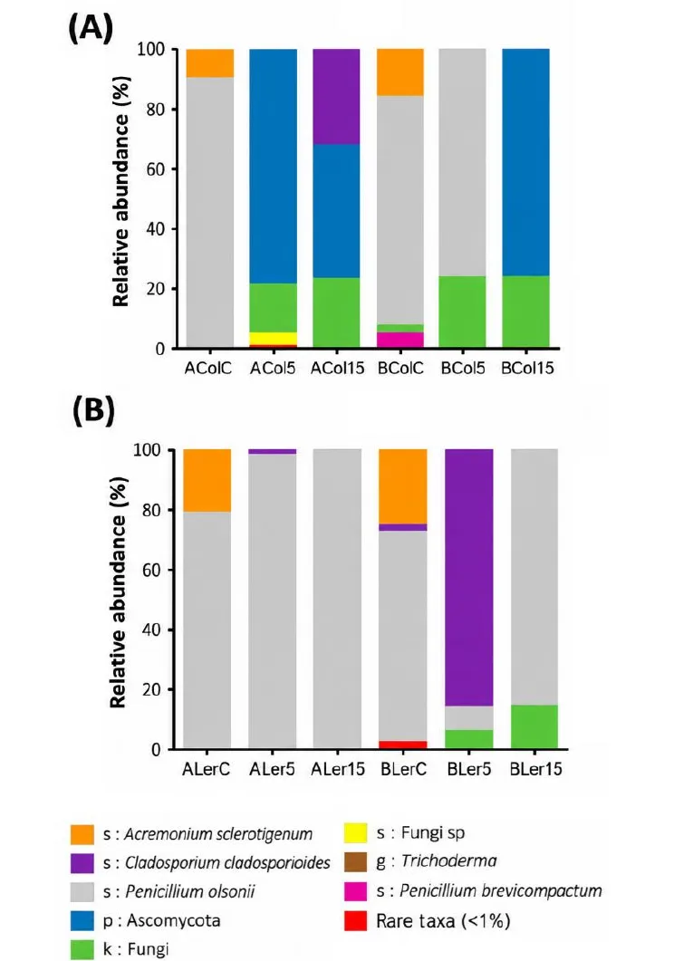 Histogrammes empilés des groupes de champignons dans les plantules issues de graines traitées ou non.